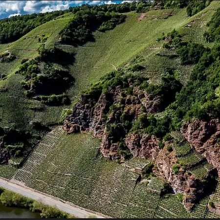 Nicole * פיספורט